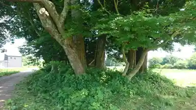宇南権現神社(岩手県)