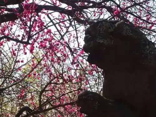 天満宮の狛犬