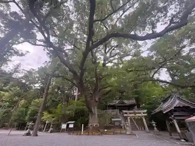 事任八幡宮の{uncategorized: "未分類", other: "その他", undefined: "問題あり", building: "その他建物", grave: "お墓", sacred_gate: "鳥居", guardian: "狛犬", statue: "像", buddha: "仏像", history: "歴史", nature: "自然", garden: "庭園", animal: "動物", pagoda: "塔", temizu: "手水舎", mountain_gate: "山門・神門", sanctuary: "本殿・本堂", subordinate: "末社・摂社", art: "芸術", scenery: "景色", jizo: "地蔵", ema: "絵馬", goshuin: "御朱印", omikuji: "おみくじ", items: "授与品その他", amulet: "お守り", goshuincho: "御朱印帳", eats: "食事", festival: "お祭り", votive_dance: "神楽", shichigosan: "七五三参", wedding: "結婚式", experience: "体験その他", initially: "初詣", around: "周辺", anti_infection: "感染症対策"}