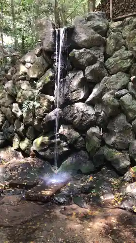 天の岩戸神社の自然