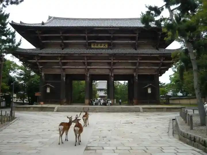 東大寺の山門・神門