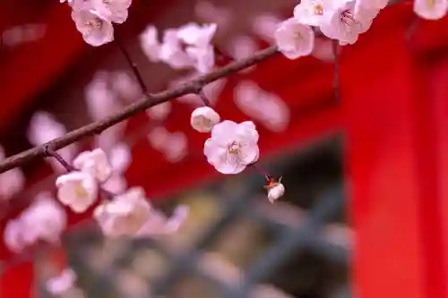 筥崎宮(福岡県)