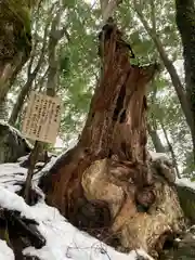 西林寺(兵庫県)