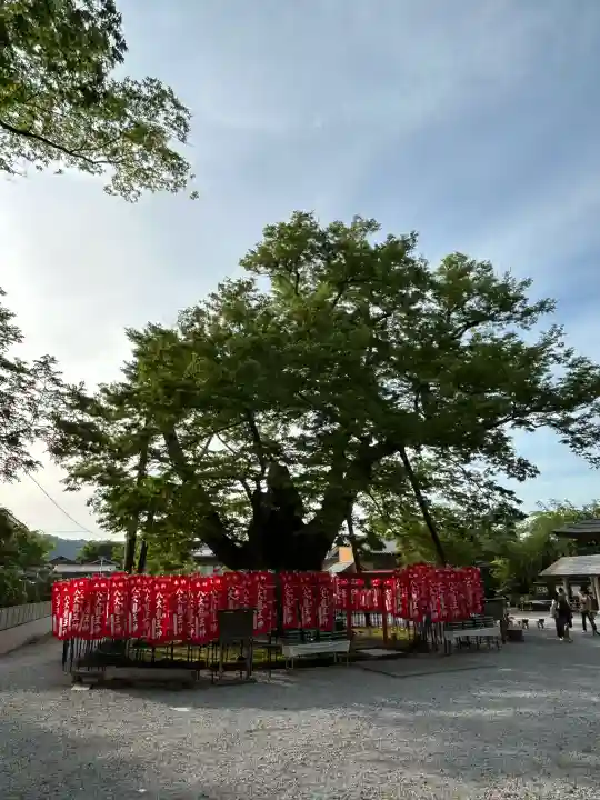 秩父今宮神社の{uncategorized: "未分類", other: "その他", undefined: "問題あり", building: "その他建物", grave: "お墓", sacred_gate: "鳥居", guardian: "狛犬", statue: "像", buddha: "仏像", history: "歴史", nature: "自然", garden: "庭園", animal: "動物", pagoda: "塔", temizu: "手水舎", mountain_gate: "山門・神門", sanctuary: "本殿・本堂", subordinate: "末社・摂社", art: "芸術", scenery: "景色", jizo: "地蔵", ema: "絵馬", goshuin: "御朱印", omikuji: "おみくじ", items: "授与品その他", amulet: "お守り", goshuincho: "御朱印帳", eats: "食事", festival: "お祭り", votive_dance: "神楽", shichigosan: "七五三参", wedding: "結婚式", experience: "体験その他", initially: "初詣", around: "周辺", anti_infection: "感染症対策"}