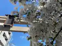 射楯兵主神社の自然