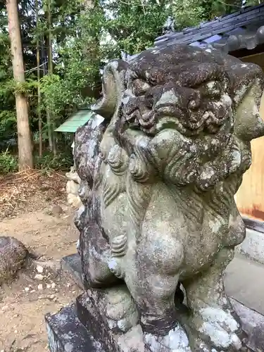 熊野社（塔野地東屋敷）の狛犬