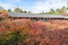 東福禅寺（東福寺）(京都府)