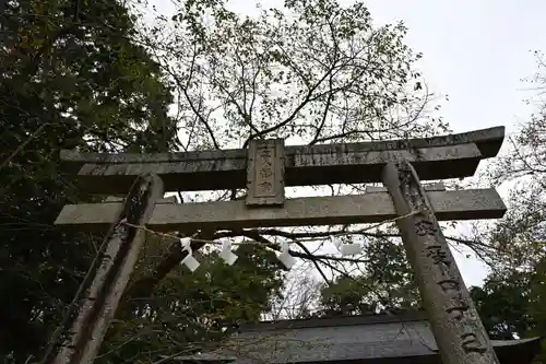 八幡神社（正八幡神社）(徳島県)