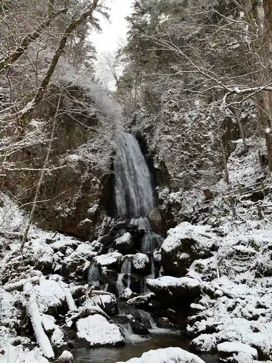 桜松神社の自然
