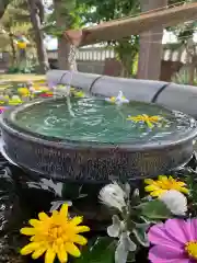 犀川神社の手水