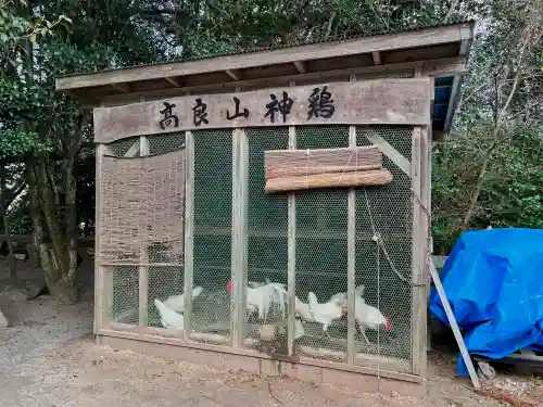 高良大社(福岡県)