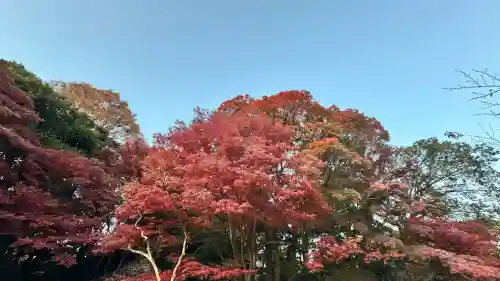 【閉業】小石川大神宮の{uncategorized: "未分類", other: "その他", undefined: "問題あり", building: "その他建物", grave: "お墓", sacred_gate: "鳥居", guardian: "狛犬", statue: "像", buddha: "仏像", history: "歴史", nature: "自然", garden: "庭園", animal: "動物", pagoda: "塔", temizu: "手水舎", mountain_gate: "山門・神門", sanctuary: "本殿・本堂", subordinate: "末社・摂社", art: "芸術", scenery: "景色", jizo: "地蔵", ema: "絵馬", goshuin: "御朱印", omikuji: "おみくじ", items: "授与品その他", amulet: "お守り", goshuincho: "御朱印帳", eats: "食事", festival: "お祭り", votive_dance: "神楽", shichigosan: "七五三参", wedding: "結婚式", experience: "体験その他", initially: "初詣", around: "周辺", anti_infection: "感染症対策"}