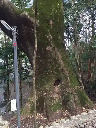 豊浦神社(三重県)