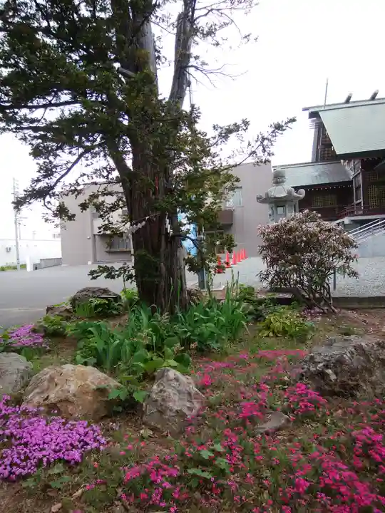 信濃神社の庭園