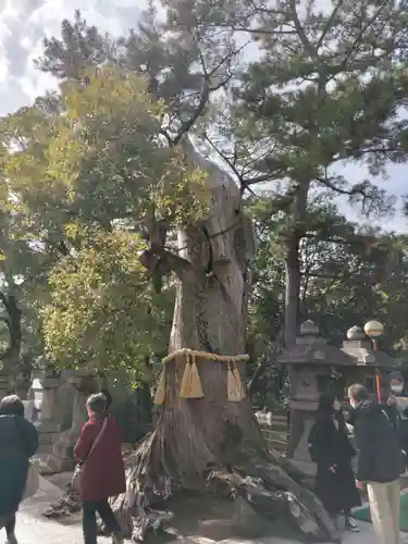 住吉大社(大阪府)