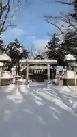新琴似神社の初詣