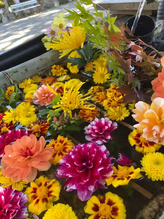 大鳥神社(滋賀県)