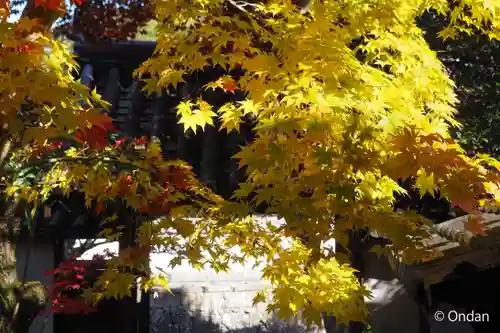 安養院(兵庫県)