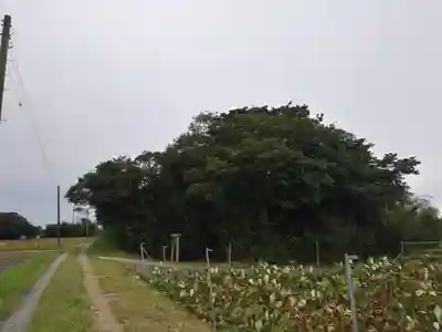 祠（名称不明）の周辺