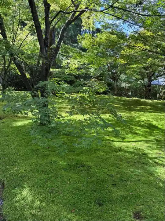 三千院門跡(京都府)