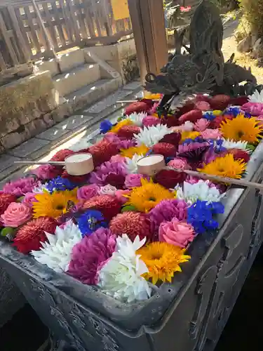 柳谷観音　楊谷寺の手水舎