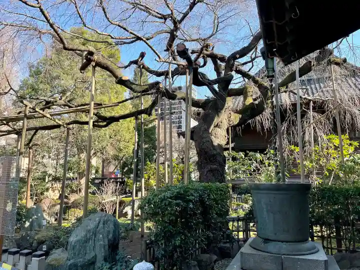 玉蔵院(埼玉県)