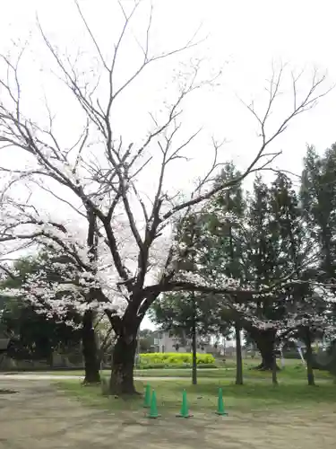 伏木香取神社(茨城県)