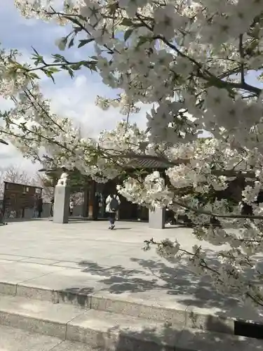 赤城神社の自然