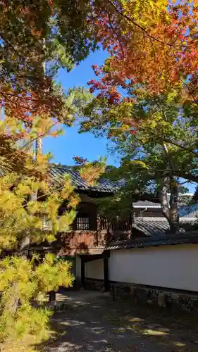 清凉寺(京都府)