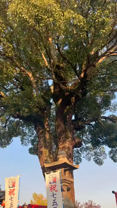 西大寺(岡山県)