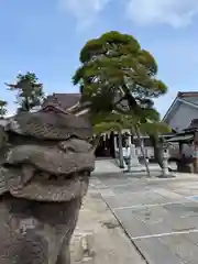 高靇神社の狛犬