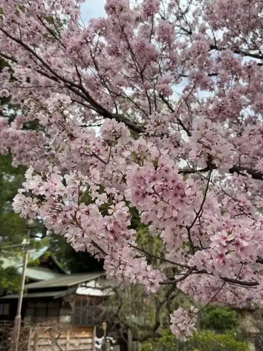 八雲氷川神社(東京都)