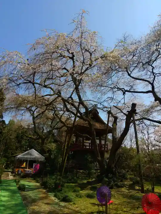 光丸山 法輪寺のその他建物