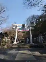 南湖神社の鳥居