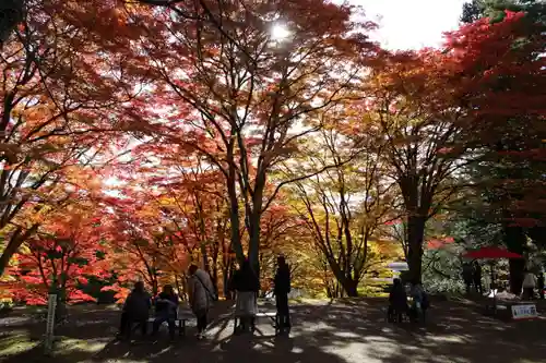 土津神社｜こどもと出世の神さまの景色