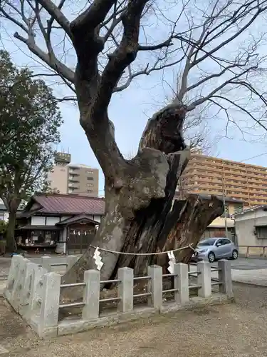 阿邪訶根神社(福島県)