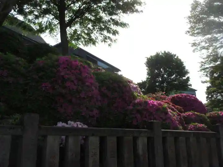 根津神社(東京都)