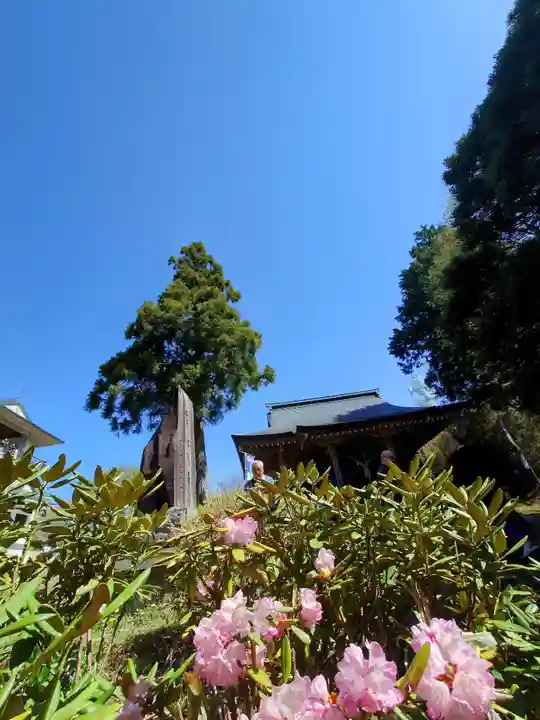 八溝嶺神社(茨城県)