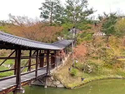 高台寺（高台寿聖禅寺・高臺寺）のその他建物
