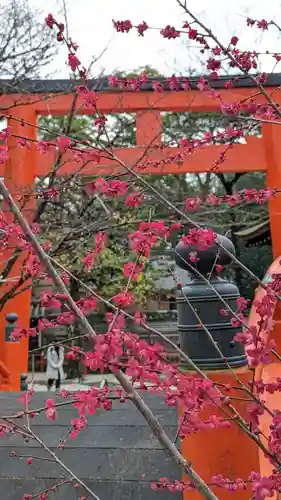 賀茂御祖神社（下鴨神社）(京都府)