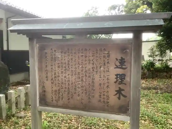 神明社(小牧神明社)の自然