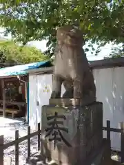 走水神社の狛犬