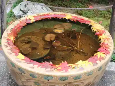 一條殿 新善光寺(京都府)