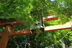 阿賀神社の鳥居