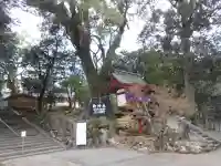 鹿児島神宮(鹿児島県)