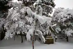 阿須利神社の自然