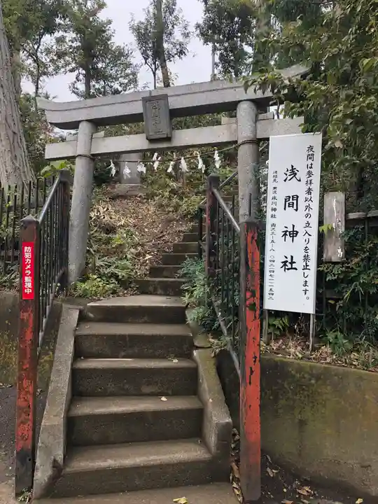 冨士浅間神社(竹丘浅間神社)の鳥居