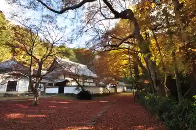 如法寺(愛媛県)