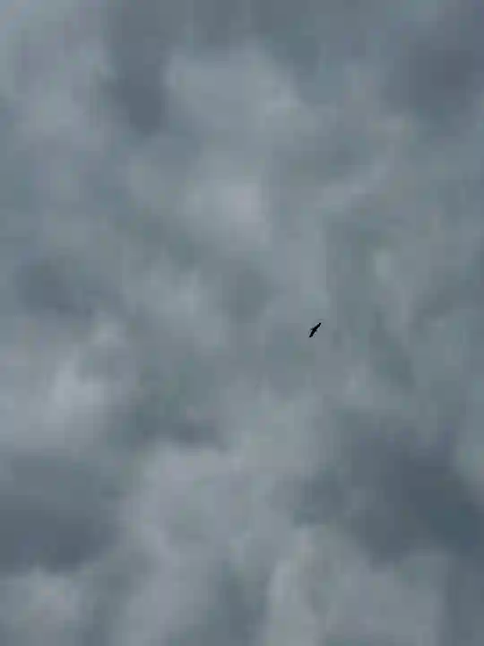 吉祥草寺(奈良県)