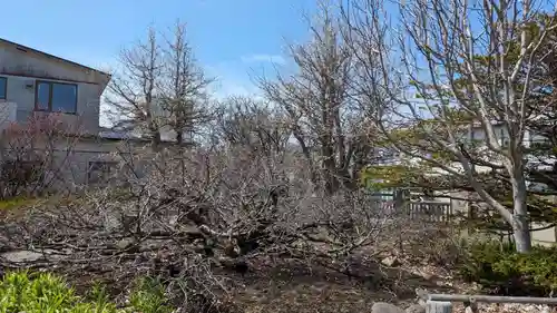 清隆寺の庭園